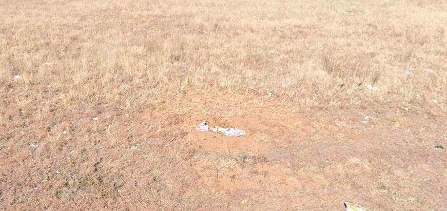  Bedroom Property for Sale in Riebeeckstad Free State